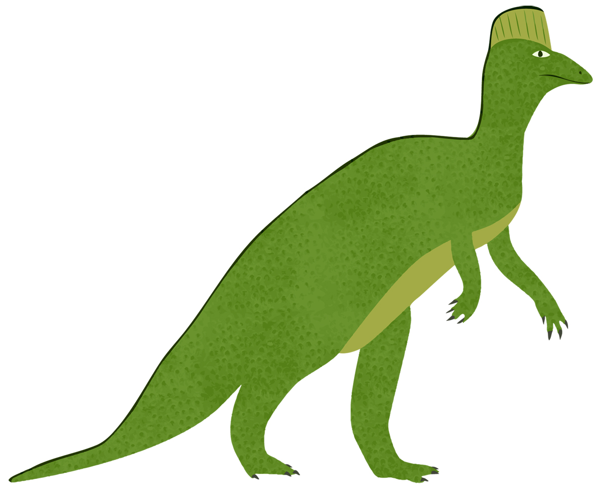 corythosaurus dinosaur with crest on head