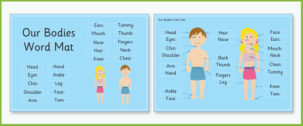 ‘My Body’ Word Mat (Ourselves / All about me teaching resources) | Free