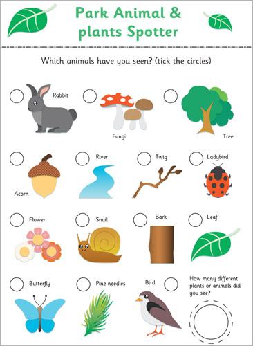 worksheet Eyfs babies Ks1 Free Amp Teaching  ks1 Eyfs  Resources Ks1 Jungle  animal