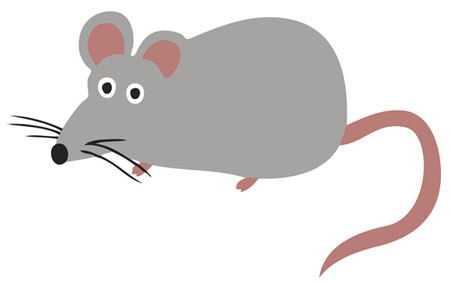 Rat | Free Early Years & Primary Teaching Resources (EYFS & KS1)