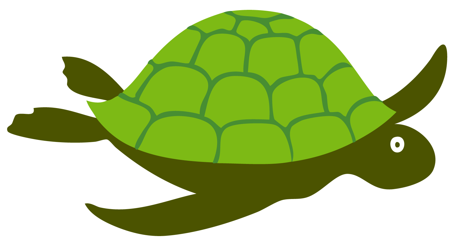 Early Learning Resources Turtle - Free Early Years and Primary Teaching ...