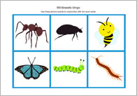 Minibeast Spotter Sheet | Free Early Years & Primary Teaching Resources ...