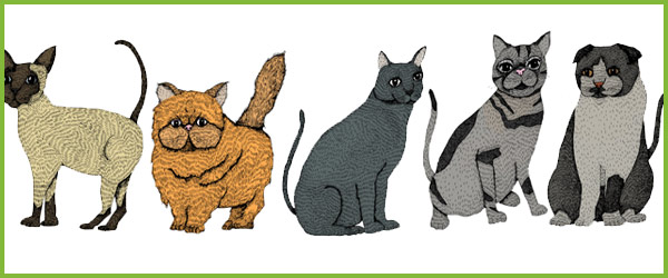 Early Learning Resources Cat Illustrations