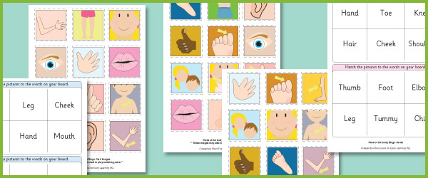 free body parts flashcards printables bingo sheets for kids