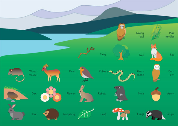 number eyfs games Teaching British     Wildlife Mat Resources Free Word Free