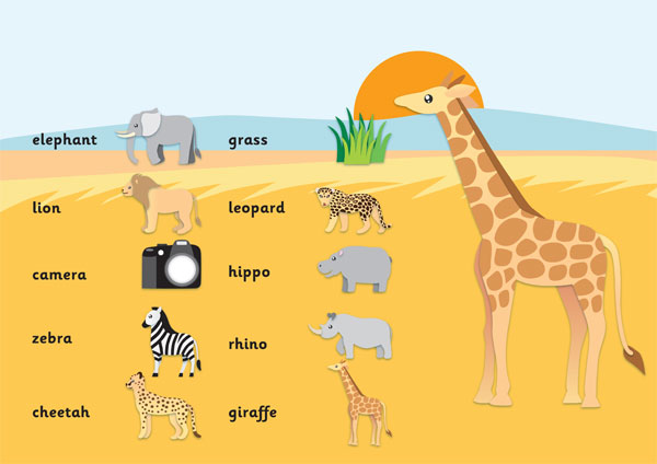 keywords everywhere for safari