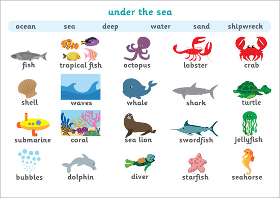 Early Learning Resources Under the Sea Word Mat