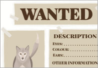 Early Learning Resources Wolf Wanted Poster For Traditional Tales 